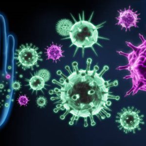Your Complete Guide to a Powerful Immune System